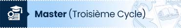 Master (Troisième Cycle) en ligne à distance