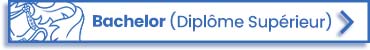 Diplôme Supérieur en ligne – Bachelor à distance de la BIU